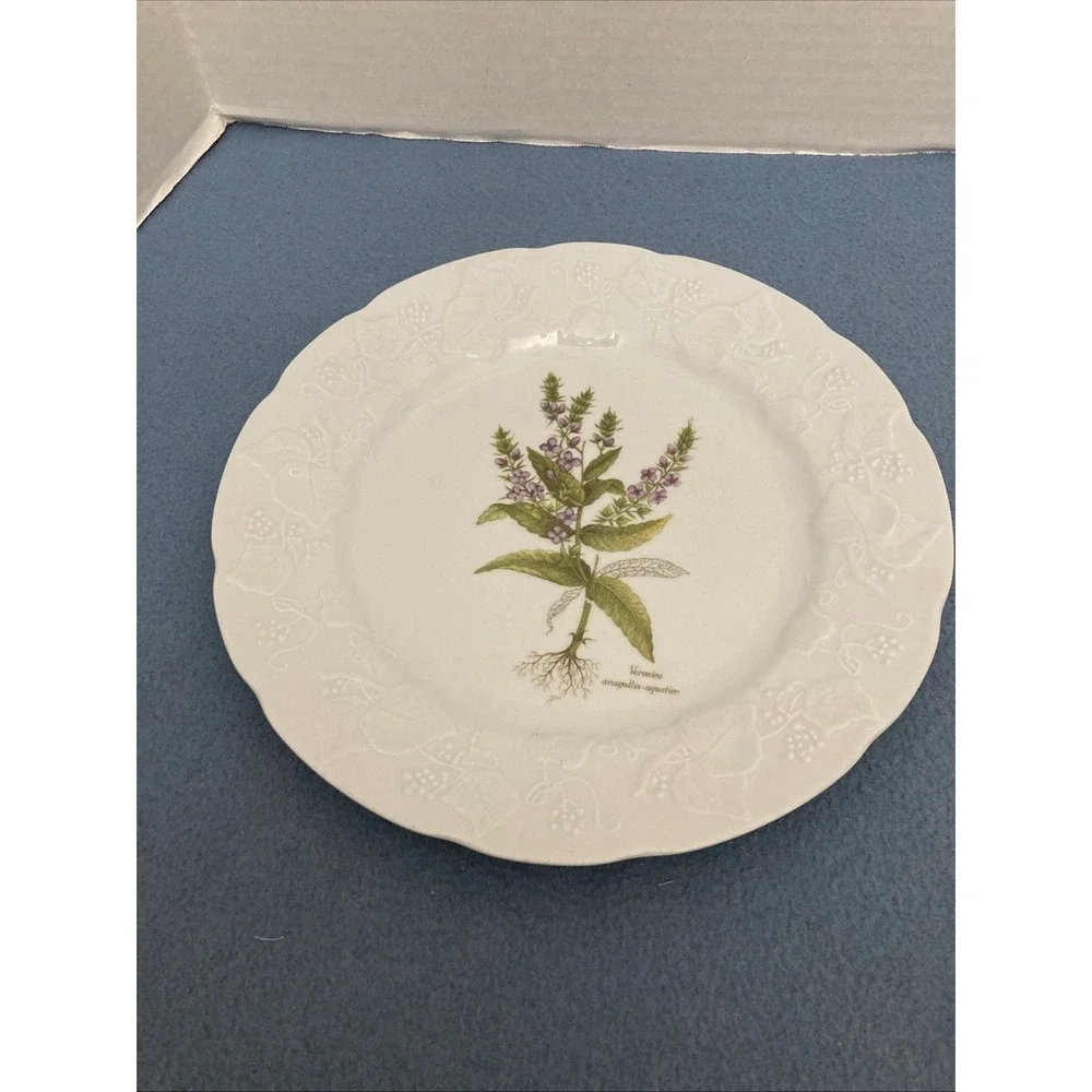 Dansk white veronica